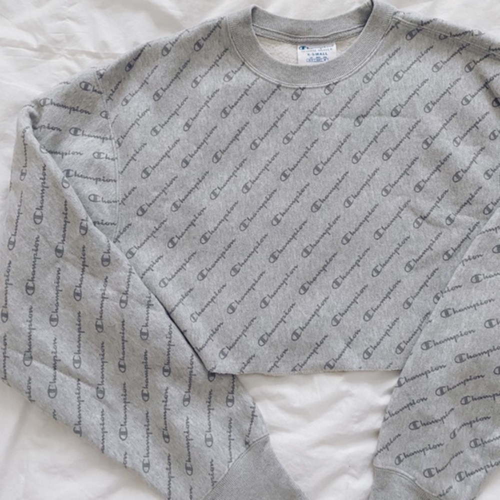 champion cropped sweater